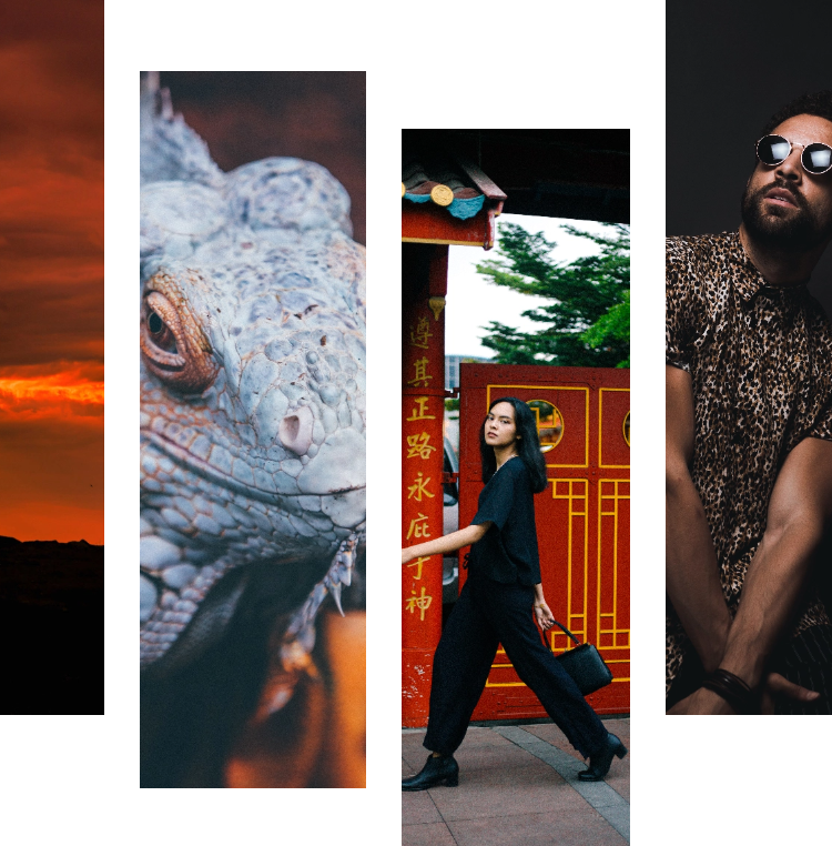 photography-bundle-section