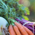 difference between nutritional therapist and nutritionist