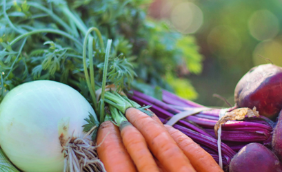 difference between nutritional therapist and nutritionist
