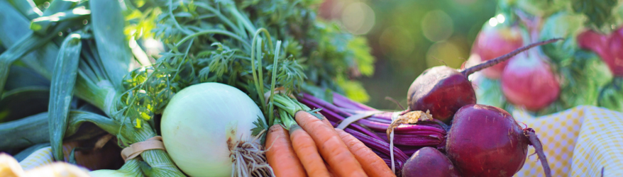 difference between nutritional therapist and nutritionist