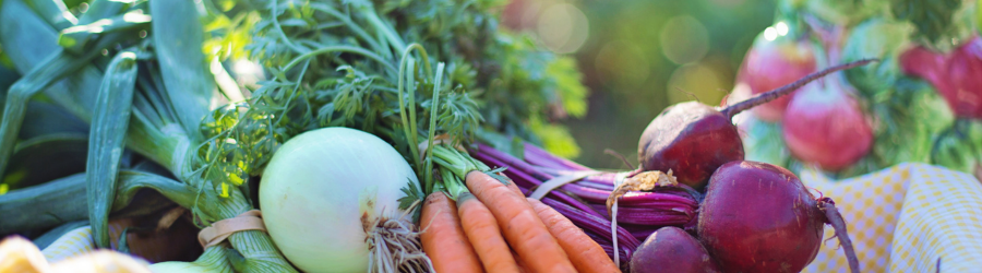 difference between nutritional therapist and nutritionist