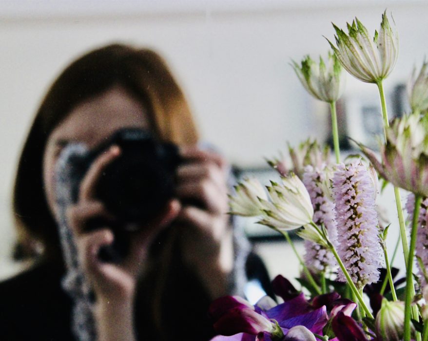 flower photography